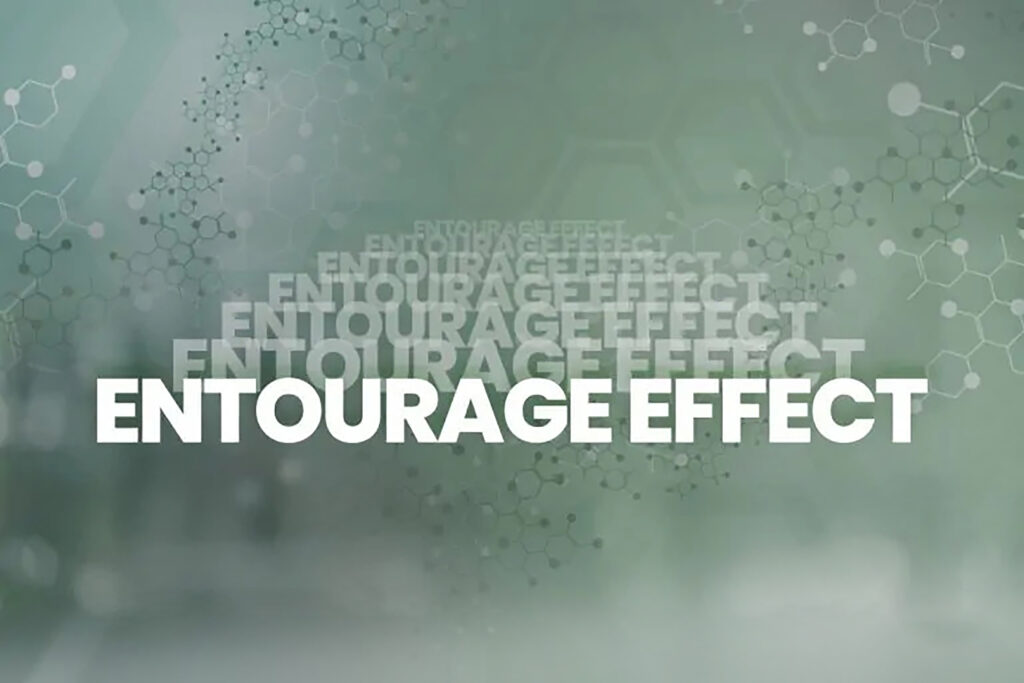 What is the Entourage Effect